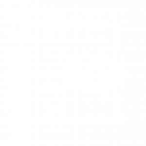 My-Daily-Box_Final-Logo-footer-300x300